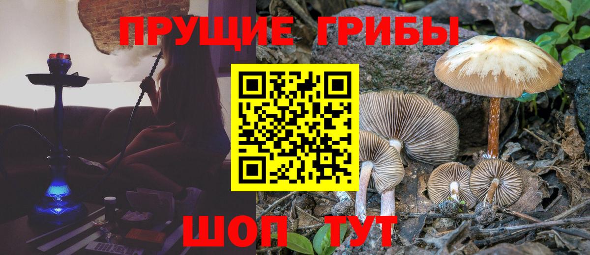 Псилоцибиновые грибы MAGIC MUSHROOMS  Вход с VPN  Асино 