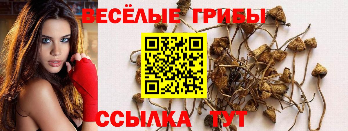 Кетамин  Вход с VPN  Канабис  Альфа ПВП СК   COCAIN  МЕФ   ГАШ  Марихуана  Асино  MDMA 